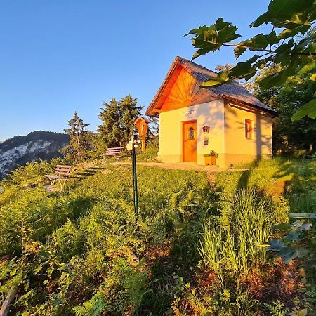 Apartament Ferien Am Sonnberg Unken Zewnętrze zdjęcie