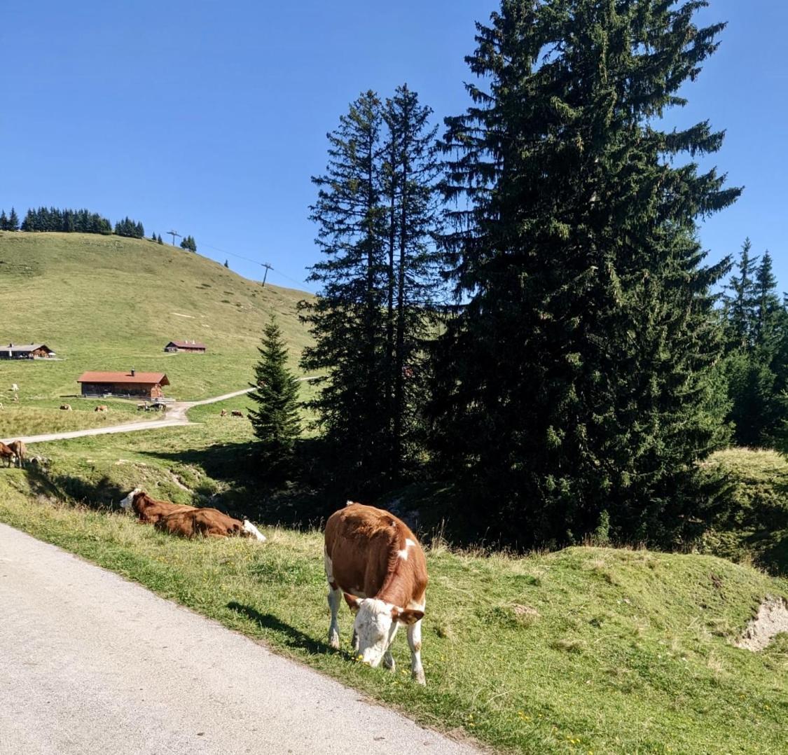 Apartament Ferien Am Sonnberg Unken Zewnętrze zdjęcie